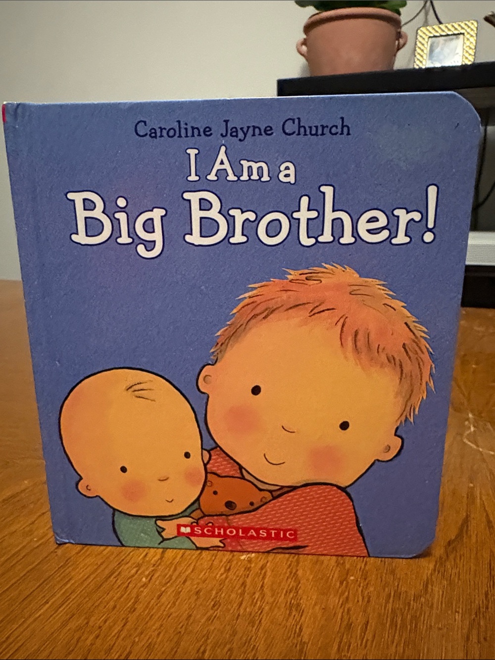 I Am a Big Brother Book